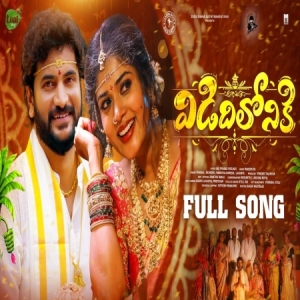 Vididhiloniki Wedding