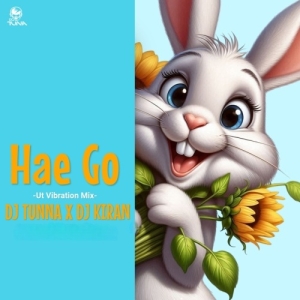 Hae Go  Ut Vibration Mix  DJ Tuna X DJ Kiran Kanimahuli