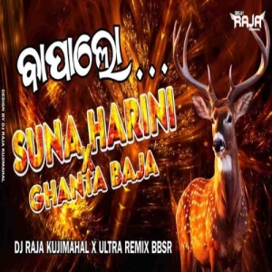 SUNA HARINI X GHANTA BAJA DJ RAJA KUJIMAHAL X ULTRA REMIX BBSR