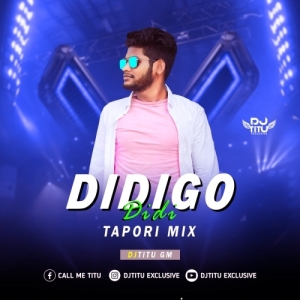 DIDI GO DIDI ( TAPORI MIX ) DJTITU GM