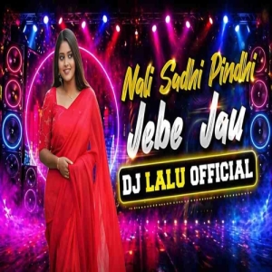 Nali Sadhi Pindhi Jebe Jau (Insta Trending Dance Remix) Dj Lalu Official